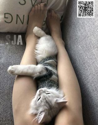 一本久久a久久精品宗合_HD在线手机播放