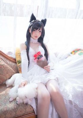 4438X全国最_BD英语高清视频播放